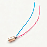 Module de diode laser à point rouge 5V 650nm 5mW, tête laser en laiton de 6mm avec fils de connexion rouge et bleu