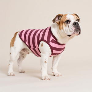 Joymay Boutique Pet Inglés <span class=keywords><strong>Bulldog</strong></span> Pug Ropa para perros Fabricantes Diseñador <span class=keywords><strong>de</strong></span> lujo 100% Algodón Mascota Perro Sudadera para <span class=keywords><strong>todas</strong></span> <span class=keywords><strong>las</strong></span> <span class=keywords><strong>razas</strong></span> - Product Image 3