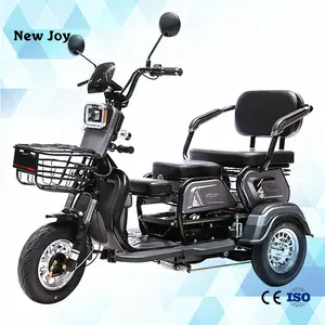 מכירות חמות 2024 DETRITUS 600W/800W אופני תלת אופן למבוגרים 3 גלגלים אופני מטען 1000w קטנוע נכים