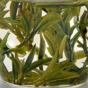 Thé vert de haute montagne 2026 <span class=keywords><strong>Huangshan</strong></span> Maofeng 2026, transformé et emballé sous vide - Product Image 4