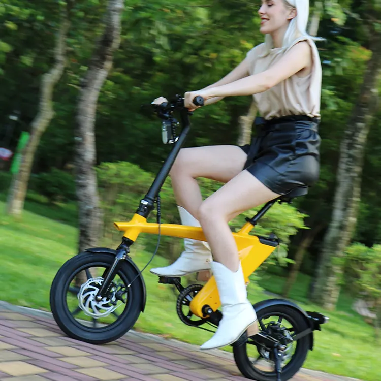 Electric Folding Bike Electric Motorcycles Electric Bicycle