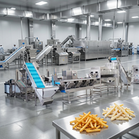 Ligne de production de frites clé en main avec formation du personnel pour l'installation de nouvelles usines alimentaires mondiales