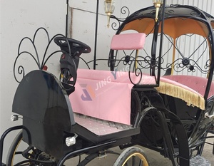 Nuevo Diseño 2025: Carruaje Eléctrico para Eventos Inspirado en la Zapatilla de Cristal y el Coche de Calabazas Encantado, con Capacidad para 4-8 Asientos y <span class=keywords><strong>Velocidad</strong></span> de 45 km/h - Product Image 5