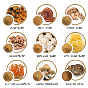 Extrait de champignon crinière de lion biologique USDA en poudre, <span class=keywords><strong>Hericium</strong></span> Erinaceus, 30% de polysaccharides, extrait de champignon intelligent nootropique - Product Image 2