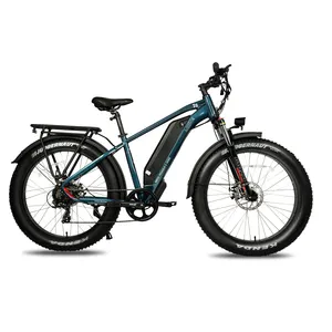 MEIGI powerful electric cruiser bike with fat tyres 16ah battery e cycle electric city bike mozo suspension fork electric bike