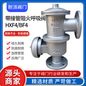 Soupape de décharge en acier inoxydable pour tuyau d'échappement HXF4-16C/16P, réservoir de stockage DN25 100, arrete-flamme, tuyau de raccordement, soupape de sécurité - Product Image 5