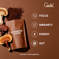 Poudre standardisée de Mycélium et de Corps Fruiteur d'Hericium Erinaceus, Stimulant Cérébral Bioactif, Café aux Champignons, Dropshipping