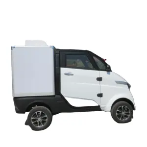 Eec New Energy 1 2 Seater Lage Snelheid Elektrische Bestelwagen Mini Levering Vracht Bestelwagen