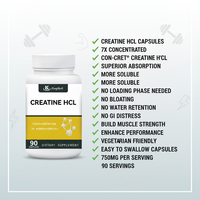 Capsules de créatine HCL OEM à absorption élevée, sans troubles gastro-intestinaux, complément nutritionnel sportif pour le soutien de la force, vente en gros