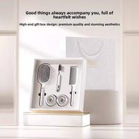 Nouvelle collection 2026 : Coffret cadeau de luxe léger avec peigne à air en ABS, thème Fête des Dames, idéal pour les cadeaux d'entreprise et les fêtes.