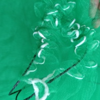 Op maat gemaakte mesh tas voor het beschermen van dadels, groene of witte palmboom mesh tas met zwarte trekkoord