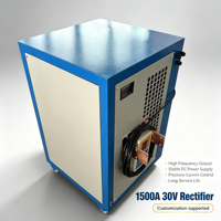 Alimentation CC personnalisée Wenbo1500A 30V pour galvanoplastie, alimentation à découpage industrielle pour machines de placage métallique