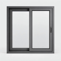 Fenêtre coulissante panoramique en aluminium à double vitrage Low-E à rupture de pont thermique, taille personnalisée, pour jardin et villa