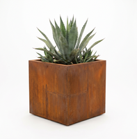 Kit de jardinière surélevée en acier Corten à monter soi-même, montage facile, bac de plantation modulaire, jardinière pour légumes pour jardin