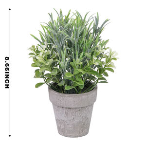 RUOPEI Plante Artificielle Mini en Pot, Mélange <span class=keywords><strong>de</strong></span> Feuillage <span class=keywords><strong>de</strong></span> Buis et Lavande, Résistante aux UV, Écologique et Durable, pour Maison et Bureau - Product Image 2
