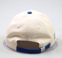 Casquettes personnalisées en gros avec logo OEM, casquettes vierges à faible MOQ, casquettes de baseball en coton bon marché pour hommes et femmes