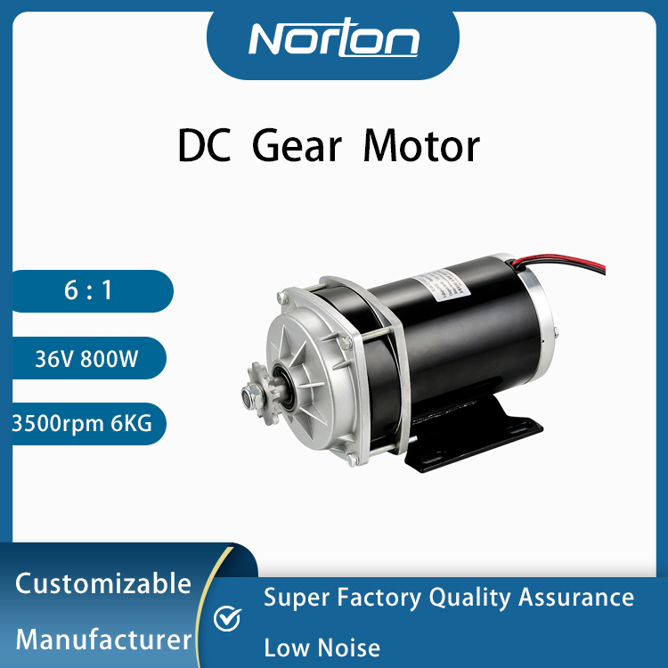 ZY1020ZXF 800W 36V DC Brush Gear Motor for Electric Tricycles