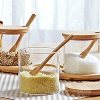 Lot de 3 récipients d'assaisonnement avec couvercles en bambou et plateau en bois Cuillères en bambou pour récipients à épices Ensemble de pots à épices en verre