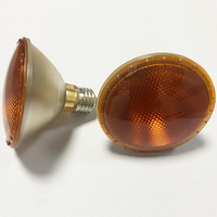 PAR20 Lampe à réflexion PAR20 Lampe halogène PAR20 Lampe de beauté médicale 120V50W 100V80W