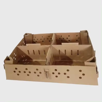 Carton de conception personnalisée 100pcs boîte à oiseaux poussins vivants boîte d'expédition d'oiseaux vivants Pigeon