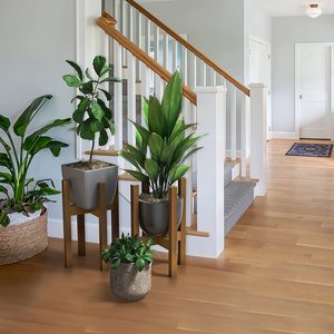 Pots de fleurs et jardinières modernes réglables, supports en bois de <span class=keywords><strong>bambou</strong></span> <span class=keywords><strong>pour</strong></span> plantes d'intérieur - Product Image 6