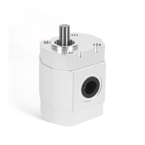 Pompa a Ingranaggi AP100-F200SS per Macchine di Registrazione, Pompa Olio ad Alta Pressione, Pompa Idraulica ad Alta Pressione - Product Image 3