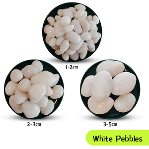 Fournisseur d'usine Galets blancs polis de haute qualité pour les projets de jardinage extérieur, de chemins et d'aménagement paysager pour les aquariums - Product Image 2