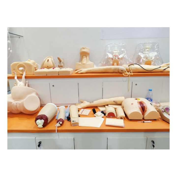 PVC Human Fetal Baby Infant Anatomical Skull Model High Simulation for Medical Art Sketch Educational Toy
