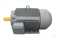 Moteur asynchrone triphasé haute efficacité IE3 YE3-200L2-2P 37KW 380V 67.4A
