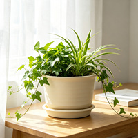 Pot de fleurs en résine écologique épaissie avec trou de drainage, design minimaliste, durable, 1,2 L, pour jardinage, arrosage domestique, plantes succulentes