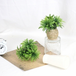 Palma di Cocco Artificiale Realistica con <span class=keywords><strong>Vaso</strong></span> - Mini Pianta di Palma in <span class=keywords><strong>Vaso</strong></span>, Finta Palma di Cocco per Decorazione <span class=keywords><strong>da</strong></span> Tavolo Interna - Product Image 4