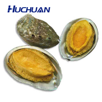 Lyophilisateur Commercial Huchuan 20 kg/24 h : Petite Machine de Séchage Sous Vide à Bas Prix