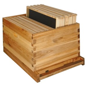 Colmena Langstroth de 2 niveles ZHILI BEE MZJ-001 de abeto chino con 20 cuadros y ceras estampadas, nueva condición, 1 año de garantía - Product Image 6