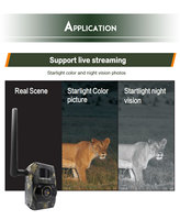 Caméra de chasse 4G LTE, étanche IP66, vision nocturne sans éclairs, caméra 4G pour la chasse en plein air, chasse professionnelle