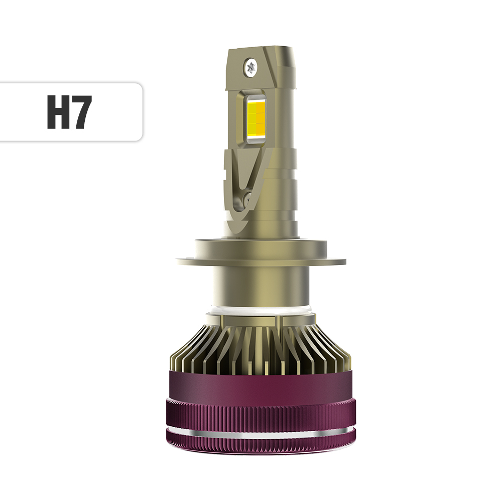 H7