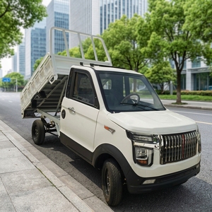 Nueva Minifurgoneta de Carga Eléctrica Económica, Vehículo Eléctrico, Coche Eléctrico, Furgoneta Eléctrica, Camioneta Eléctrica - Product Image 1