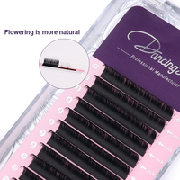 Ekstensi Bulu Mata Volume Single Split Tips PBT CC DD Volume Soft Flat dari Rusia