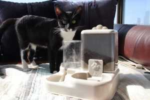 Automatische 2L Haustierfütterungsstation Stilvolle Einfarbige 2-in-1 Bambusschüsseln IPX5 Wasserdichter Trockenfutter- und Wasserspender - Product Image 3