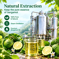 Huile Essentielle de Bergamote Biologique Pure et Naturelle en Gros à Prix Avantageux