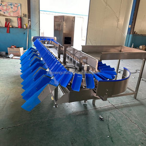 2026 High Speed Rotating Avocado Weight Grader for Seafood Sea Cucumber Sorting Machine Crab Classifier Machine For Sale - Product Image 4