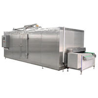 Dezoton Ultra Low Temperature Tunnelvriezer, continu snelvriesapparatuur voor fruit, groenten en voedsel