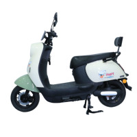 Bici elettrica aperta da strada con pneumatico a 14 250 bicicletta elettrica a 2 ruote con sistema di batterie al piombo