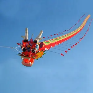 Mooie Chinese 3D Draak Vliegers