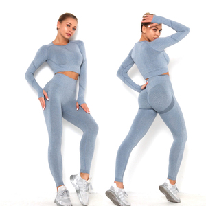 Индивидуальные бесшовные костюмы из 2 предметов для спортзала, спортивные костюмы для женщин, короткий топ с длинным рукавом + Скрещенные леггинсы, комплекты для йоги, фитнеса и активного отдыха - Product Image 2