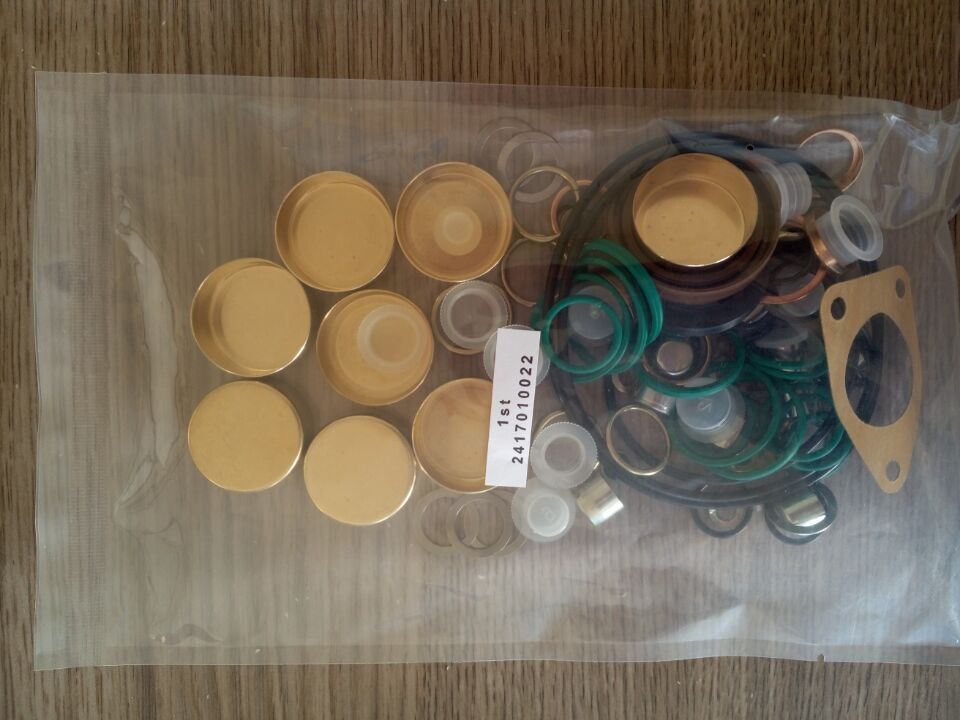 Diesel fuel pump parts repair kits 2417 010 001800001) repair kits 2417010001