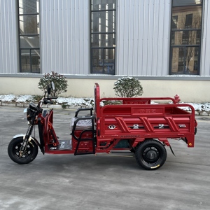 Motocicleta <span class=keywords><strong>de</strong></span> Tres Ruedas <span class=keywords><strong>de</strong></span> Alta Capacidad para <span class=keywords><strong>Transporte</strong></span> <span class=keywords><strong>de</strong></span> Carga, Resistente y Duradera, Triciclo Eléctrico para Pasajeros y Carga - Product Image 2