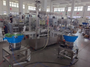 Machine de remplissage et de capsulage de capsules de café en acier inoxydable à grande vitesse pour poudre de thé au lait, fabrication économique - Product Image 5