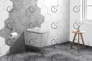 WC suspendu mural sans eau pour salle de bain, sanitaires - Product Image 6