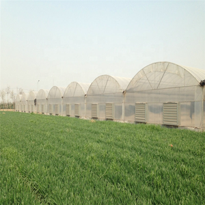 PE film de <span class=keywords><strong>serre</strong></span> en plastique de <span class=keywords><strong>tunnel</strong></span> de <span class=keywords><strong>serre</strong></span> d'agriculture de film utilisé des cadres de <span class=keywords><strong>serre</strong></span> à vendre - Product Image 3
