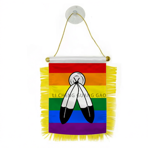 Drapeau de voiture à ventouse suspendu, série arc-en-ciel, design <span class=keywords><strong>LGBT</strong></span> (Lindsay Design), mini-drapeau transgenre personnalisé, best-seller - Product Image 6